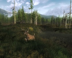 The Hunter – auf Wildnis Jagd.